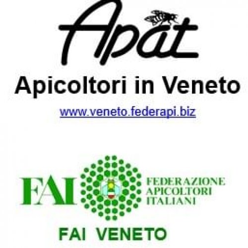 Foto dell'associazione