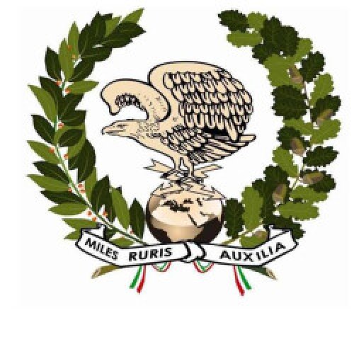 Foto dell'associazione